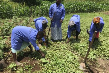 Ausbildung in der Führung einer Familienfarm